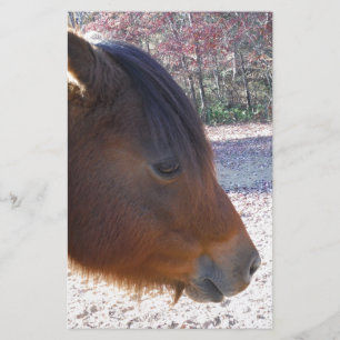 Close up of Brown horse, Little Brown Pony Stationery
