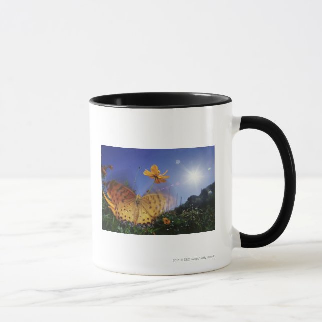 Close-up of butterfly, flapping wings mug (Right)