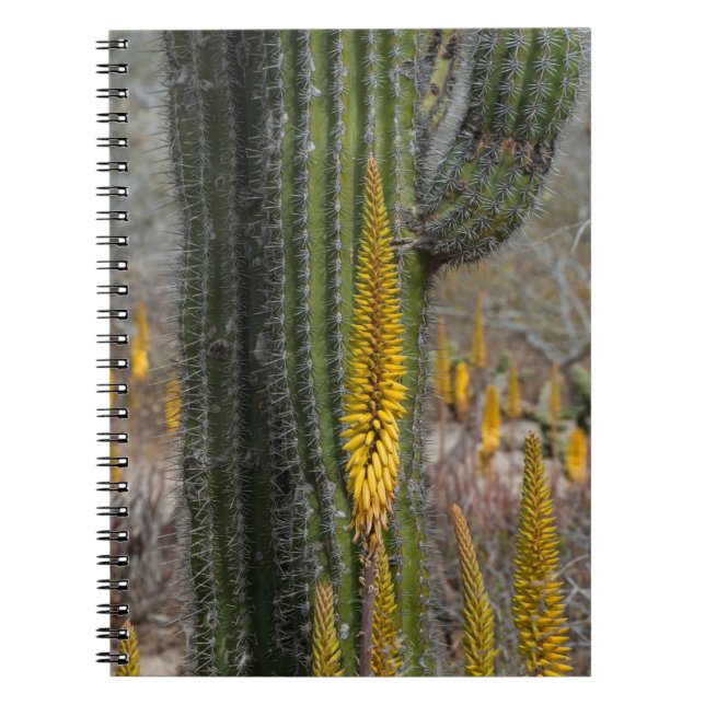 Close Up Of Cactus And Agave Notebook (Front)