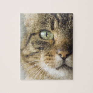 Close-up of cat (focus on eye) jigsaw puzzle