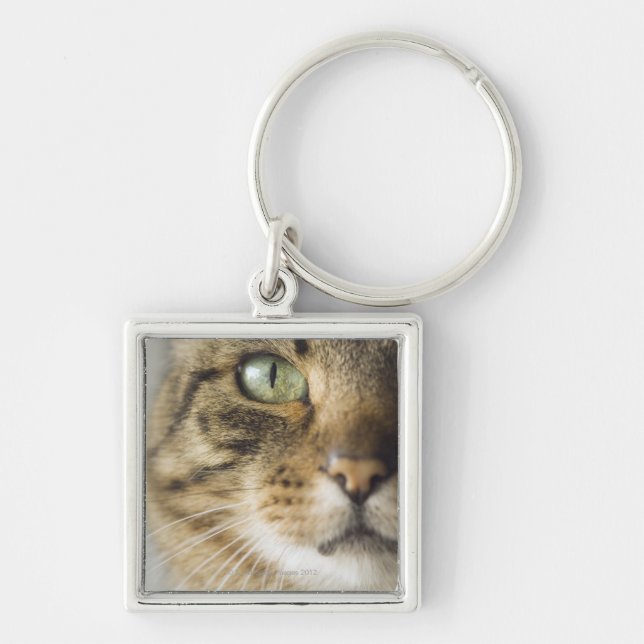 Close-up of cat (focus on eye) keychain (Front)