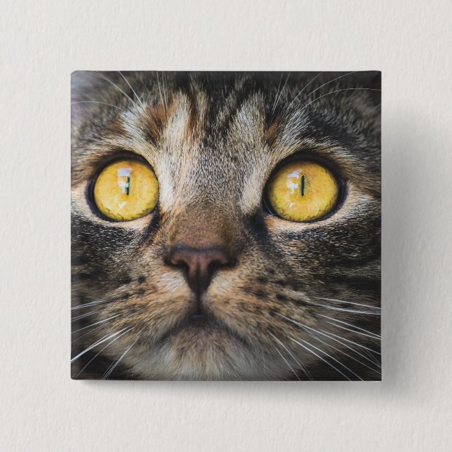 Close-up of Cat with Yellow Eyes Button (Front)