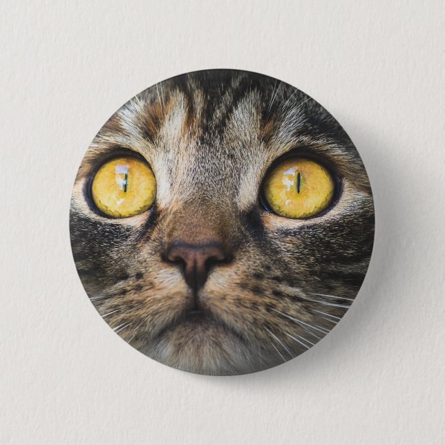 Close-up of Cat with Yellow Eyes Button (Front)
