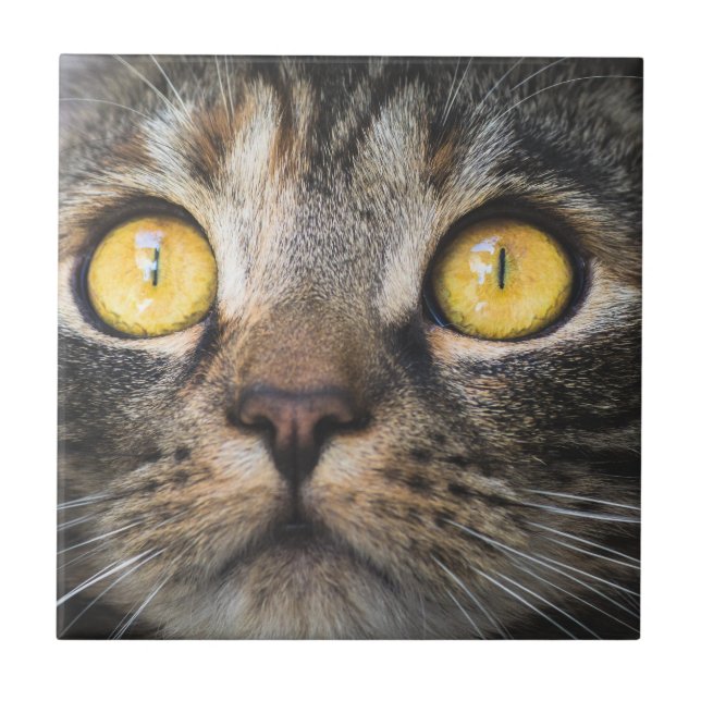 Close-up of Cat with Yellow Eyes Ceramic Tile (Front)