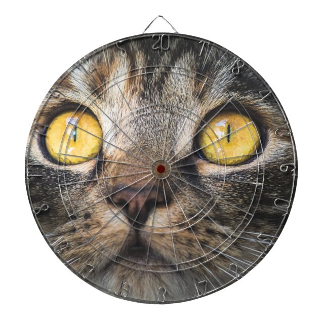 Close-up of Cat with Yellow Eyes Dart Board (Front)