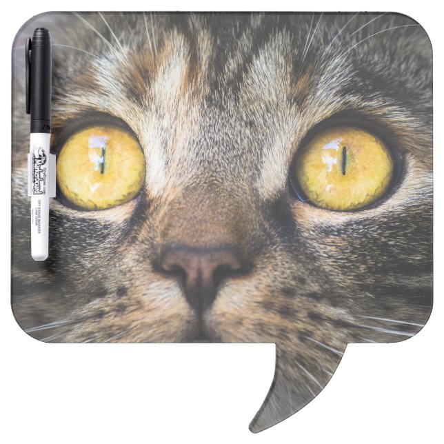 Close-up of Cat with Yellow Eyes Dry Erase Board (Front)