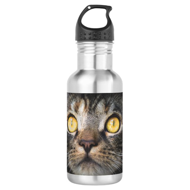 Close-up of Cat with Yellow Eyes Stainless Steel Water Bottle (Front)