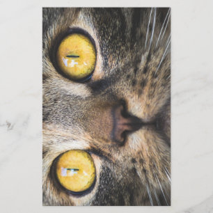 Close-up of Cat with Yellow Eyes Stationery