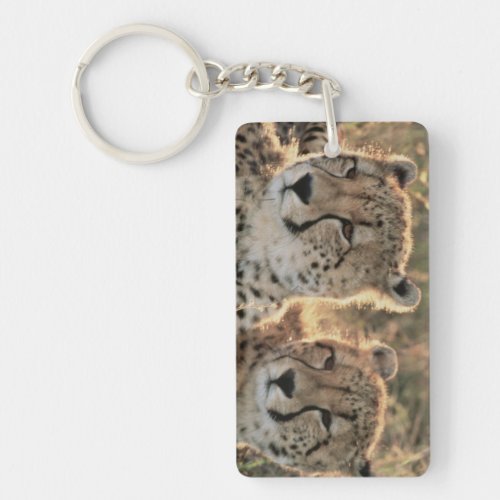 Close_up of Cheetahs Keychain