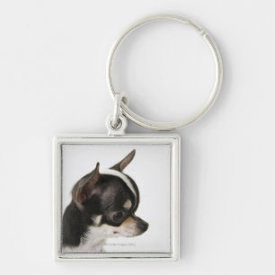 Close-up of Chihuahua, side view Keychain
