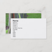 Close-up of colorful eucalyptus tree bark business card (Front/Back)