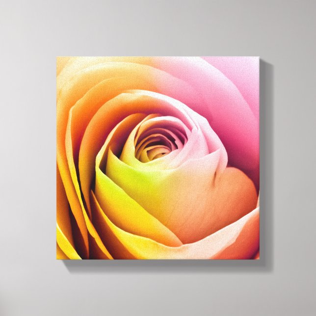 Close up of Colorful Rose Petals Canvas Print (Front)