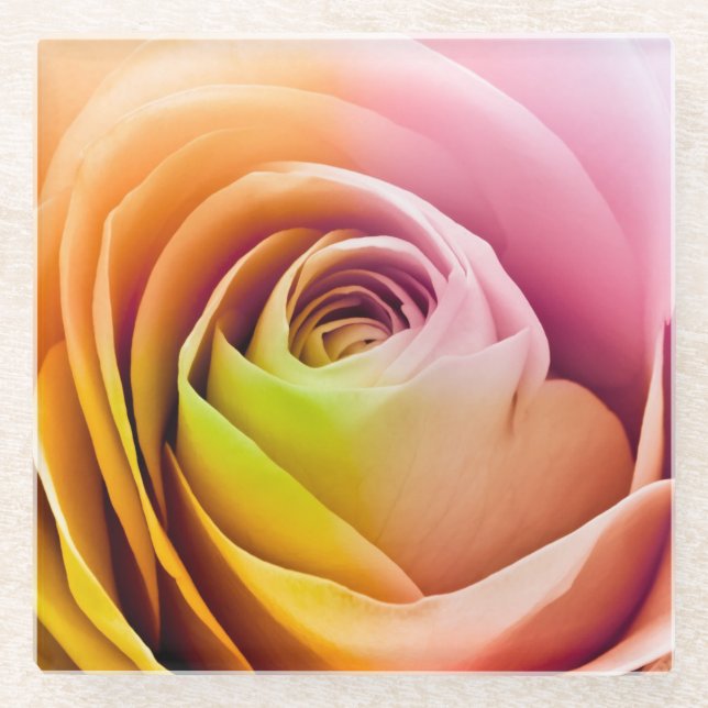 Close up of Colorful Rose Petals Glass Coaster (Front)