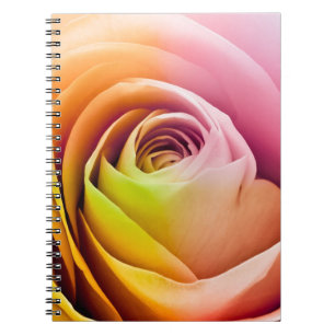 Close up of Colorful Rose Petals Notebook