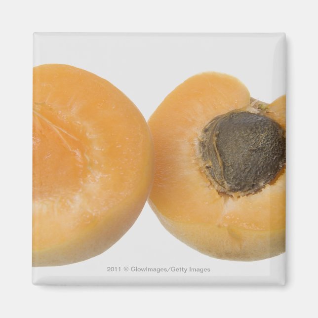 Close-up of cross section of an plum magnet (Front)