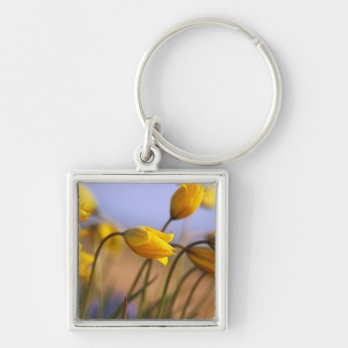Close_up of daffodils keychain