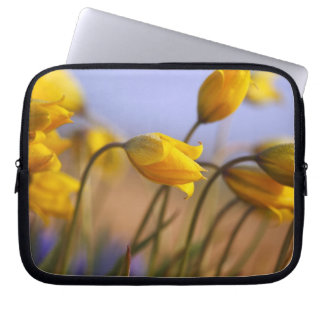Close-up of daffodils laptop sleeve