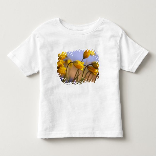 Close-up of daffodils toddler t-shirt (Front)