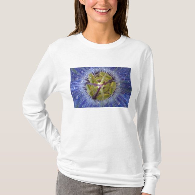 Close-up of dewy passion flower. Credit as: Don T-Shirt (Front)
