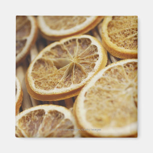 Close-up of dried slices of lemon magnet