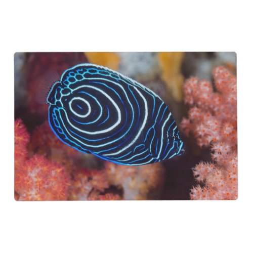 Close_up of Emperor Angelfish Placemat