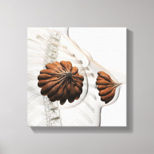 Close-Up Of  Female Mammary Glands Canvas Print
