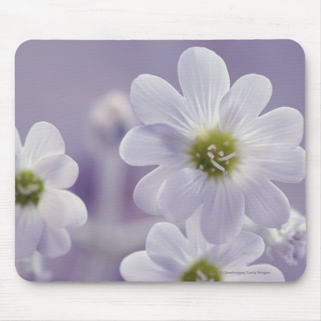 Close-up of flowers 2 mouse pad (Front)