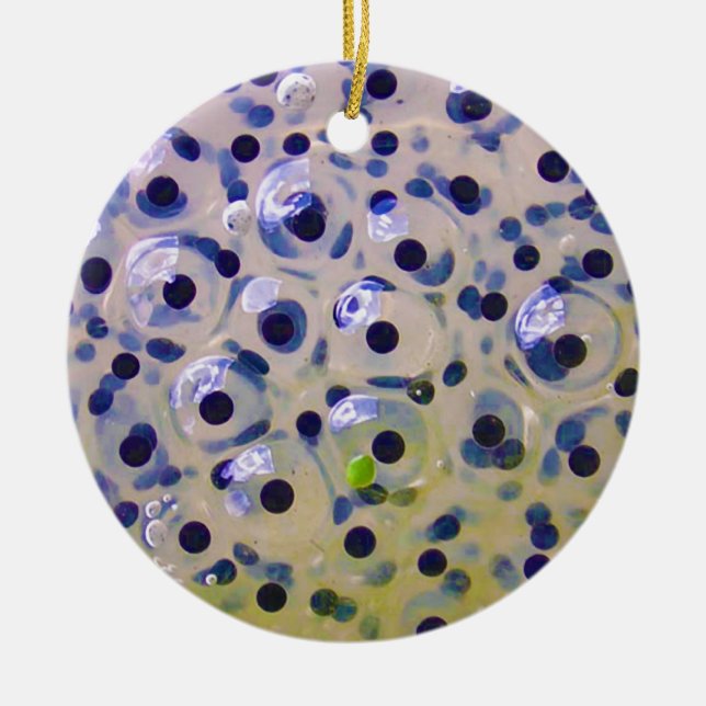 Close Up of Frogspawn Eggs Soon To Be Tadpoles Ceramic Ornament (Front)