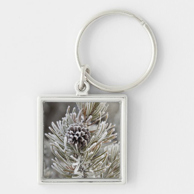 Close-up of frozen pine cone, Yellowstone Keychain (Front)