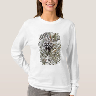 Close-up of frozen pine cone, Yellowstone T-Shirt