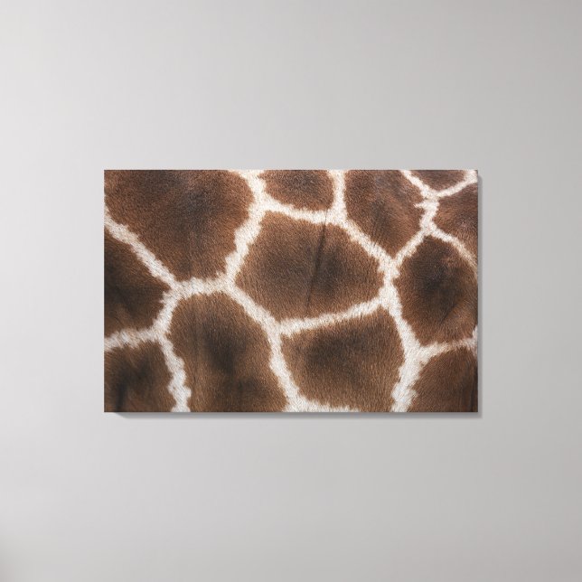 Close up of Giraffes Skin Canvas Print (Front)