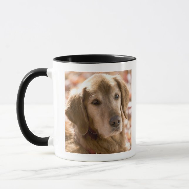 Close up of golden labrador retriever dog mug (Left)