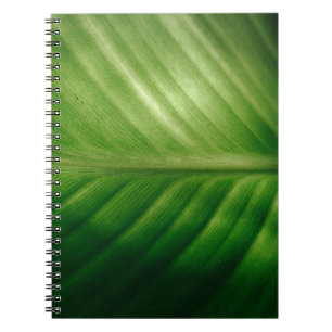 Close-up of green elaf notebook