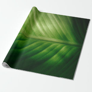 Close-up of green elaf wrapping paper