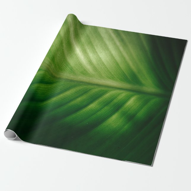 Close-up of green elaf wrapping paper (Unrolled)
