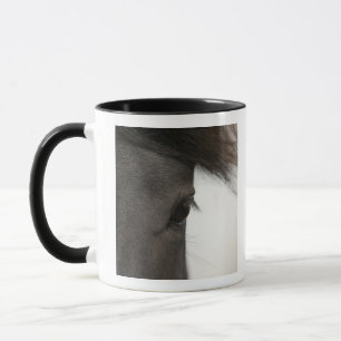 Close-up of horse eye and hair mug