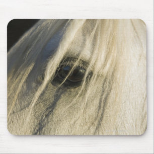 Close-up of Horse eye Mouse Pad