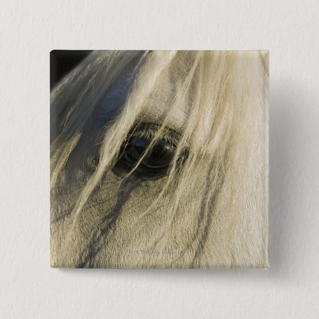 Close-up of Horse eye Pinback Button (Front)