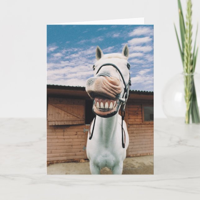 Close-up of Horse with Mouth Open Card (Front)