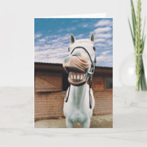 Close-up of Horse with Mouth Open Card