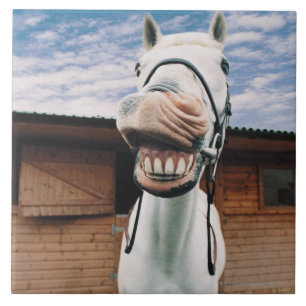 Close-up of Horse with Mouth Open Ceramic Tile