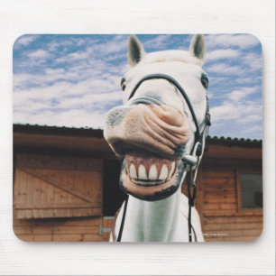 Close-up of Horse with Mouth Open Mouse Pad