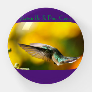 Close up of humming bird visiting oregano. paperweight
