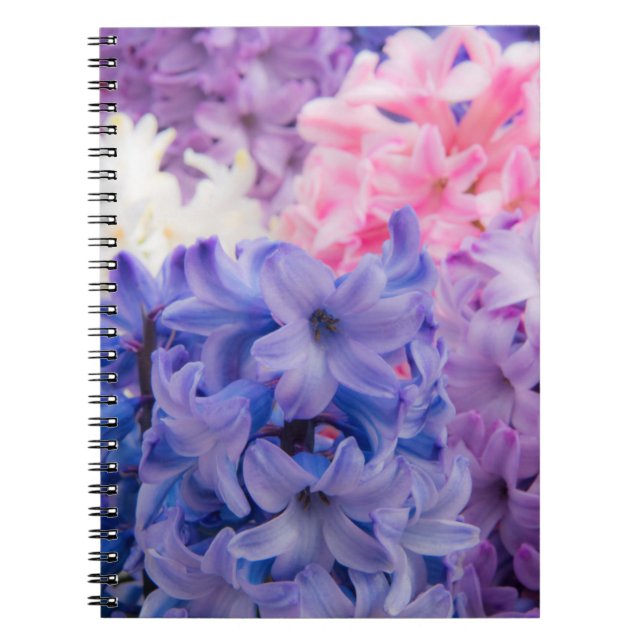 Close-up of Hyacinth plant Notebook (Front)
