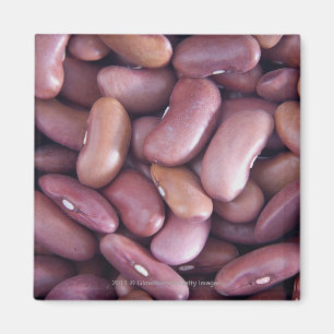 Close-up of kidney beans magnet