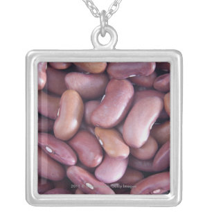 Close-up of kidney beans silver plated necklace