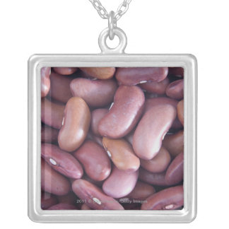 Close-up of kidney beans silver plated necklace