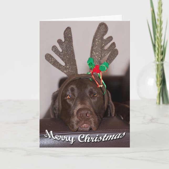 Close Up Of Labrador With Antlers Photograph Holiday Card (Front)