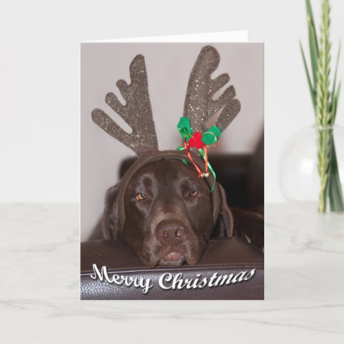 Close Up Of Labrador With Antlers Photograph Holiday Card