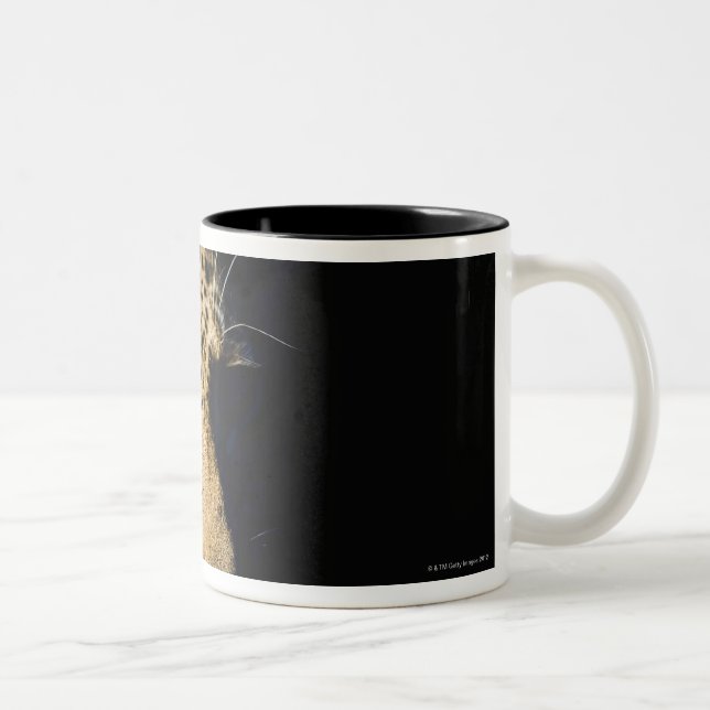 Close up of Leopard, Greater Kruger National Two-Tone Coffee Mug (Right)